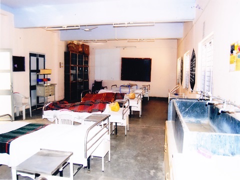 gallery-images