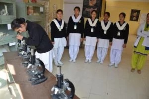 gallery-images