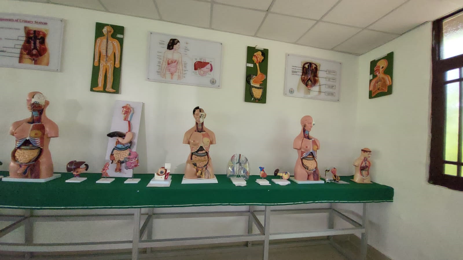 gallery-images